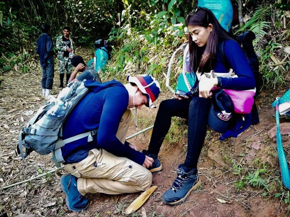 หลุยส์ สก็อต