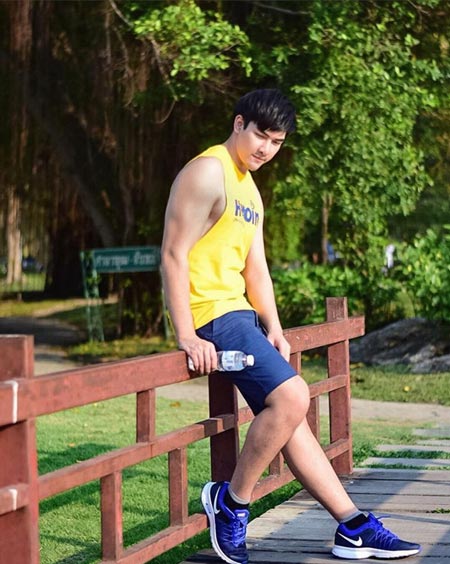 สิงโต เดอะสตาร์