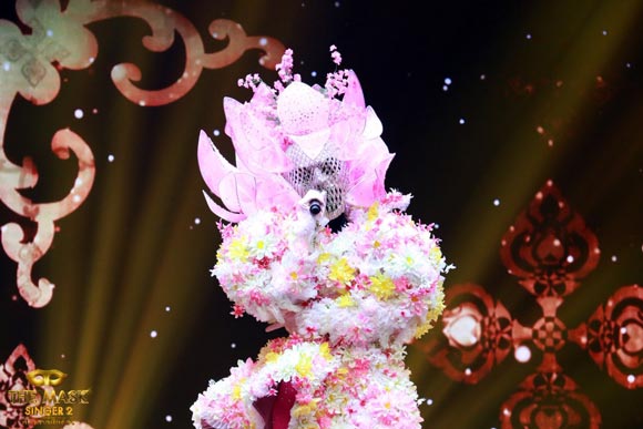 ปุยฝ้าย AF4