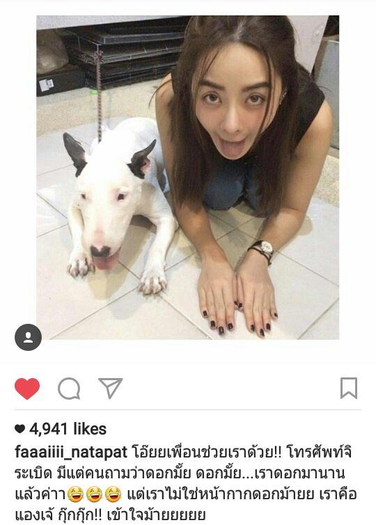 ปุยฝ้าย AF4