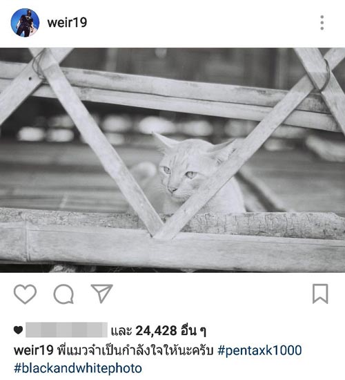 เวียร์ เบลล่า