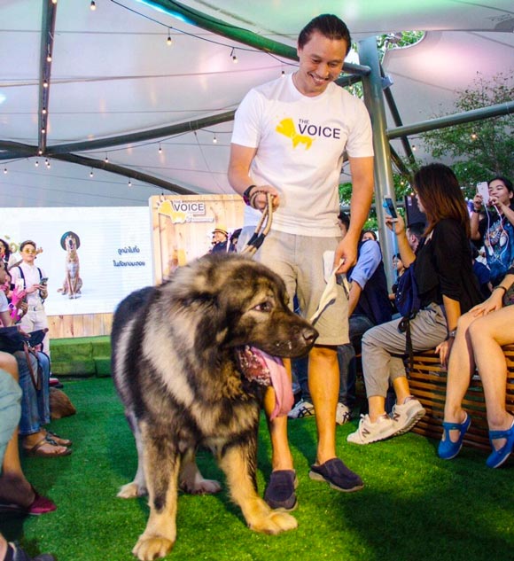 กึ้ง เฉลิมชัย