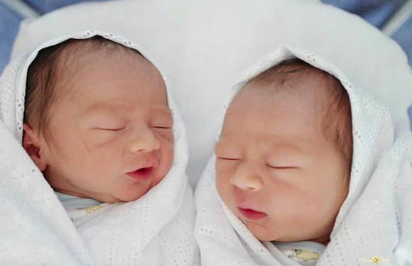 น้องสายฟ้า น้องพายุ ลูกชมพู่ อารยา