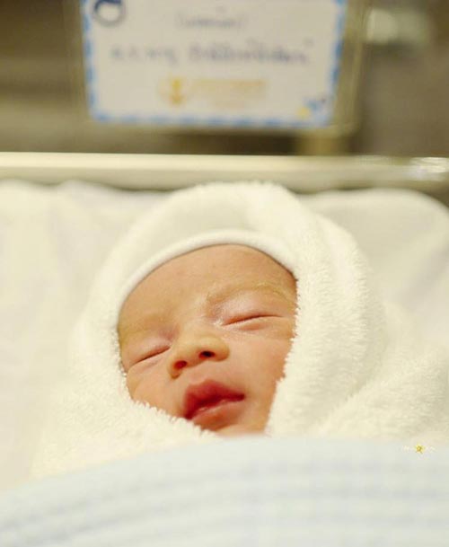 น้องสายฟ้า น้องพายุ ลูกชมพู่ อารยา