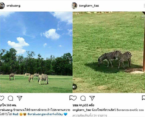 กวาง อรการ