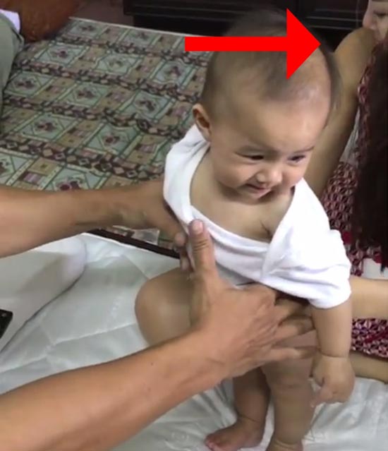 วิทย์ ภูธฤทธิ์