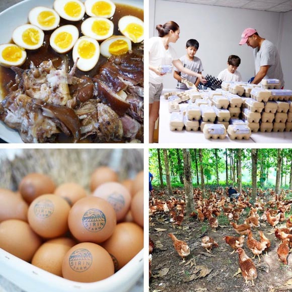 แหม่ม คัทลียา