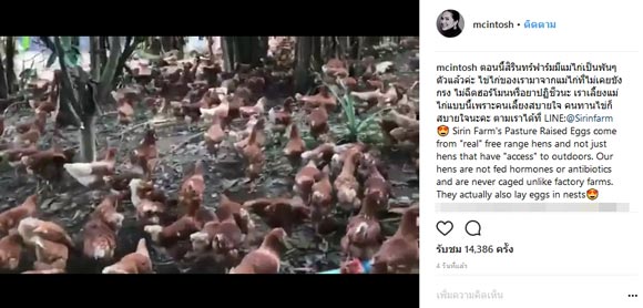 แหม่ม คัทลียา