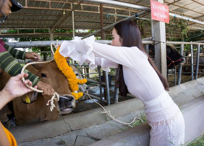 อั้ม พัชราภา