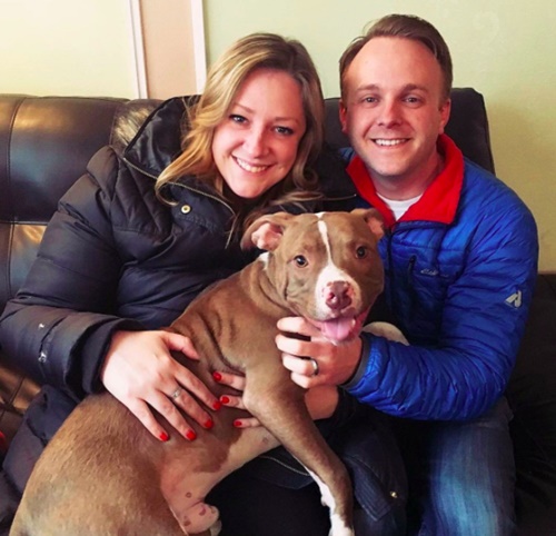 เปิดเรื่องราวชีวิตสุนัขถูกทิ้ง