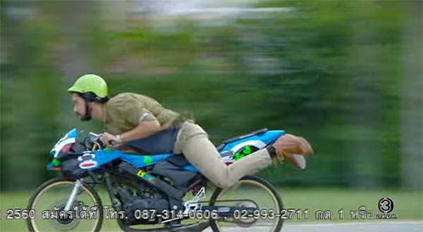 พ่อครัวหัวป่าก์