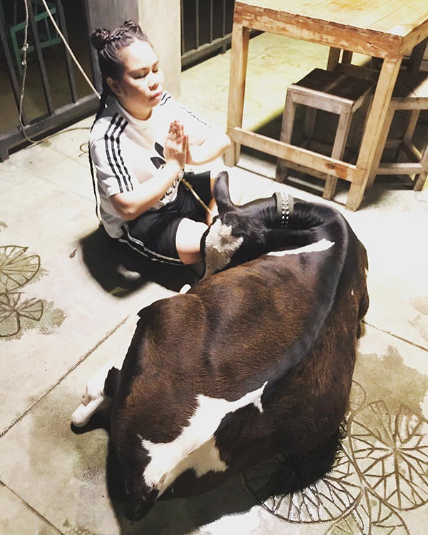 ตุ๊กกี้ บูบู้