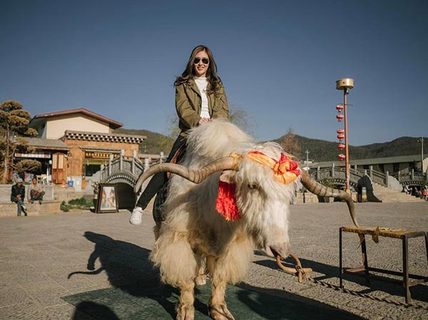 แพทตี้ พิมพาภรณ์ เจ็ท ณัฐพงศ์