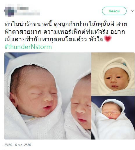 น้องสายฟ้า น้องพายุ