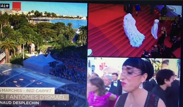 ชมพู่ อารย