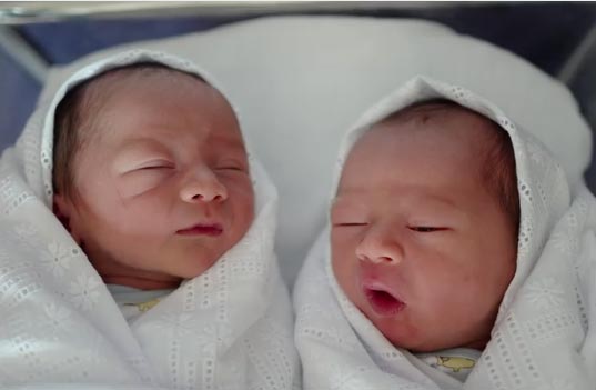 ชมพู่ อารยา