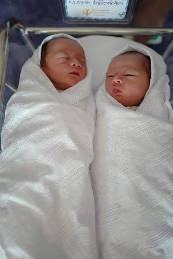 ชมพู่ น็อต น้องสายฟ้า น้องพายุ