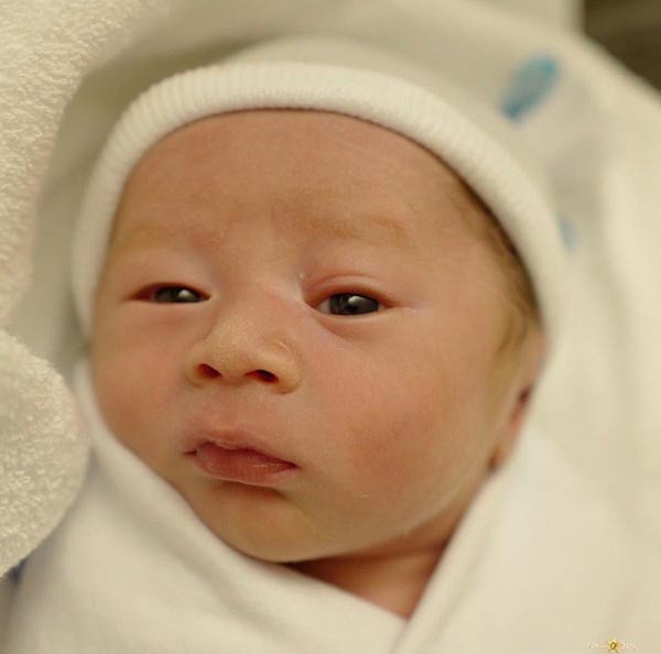 ชมพู่ น็อต น้องสายฟ้า น้องพายุ