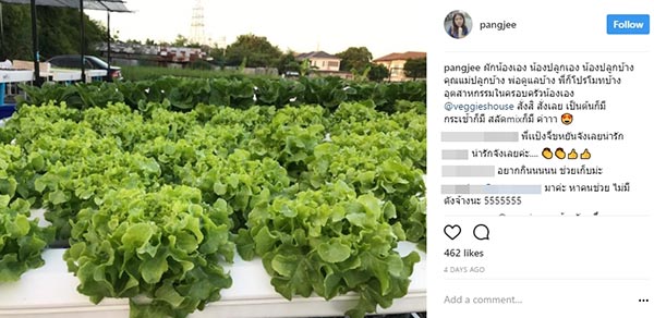 ปั้นจั่น ปรมะ