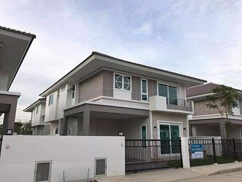 ลำไย ไหทองคำ 