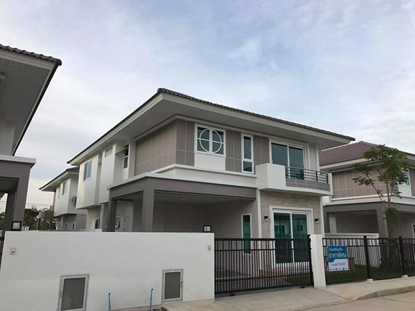 ลำไย ไหทองคำ 