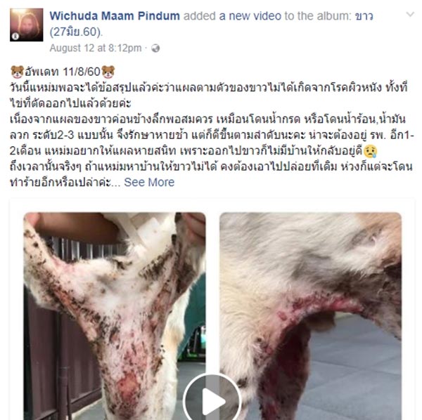 แหม่ม วิชุดา