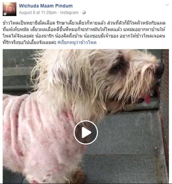 แหม่ม วิชุดา