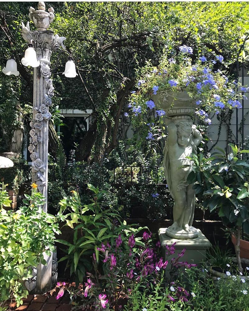 ชมพู่ อารยา