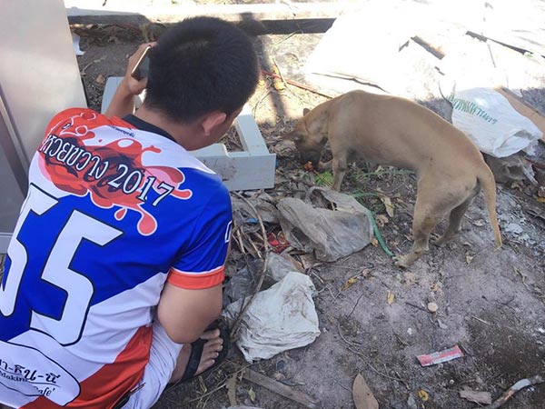 สุนัขถูกทิ้ง