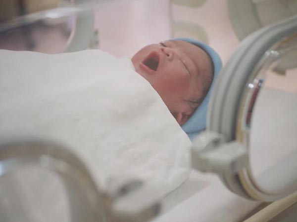 แมงปอ ชลธิชา 