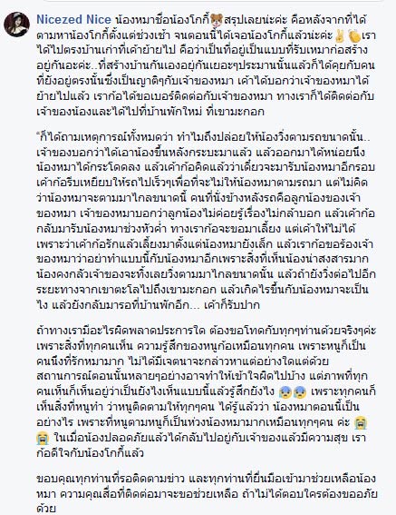 สุนัขถูกทิ้ง