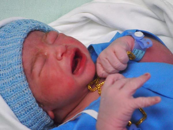 แมงปอ ชลธิชา 