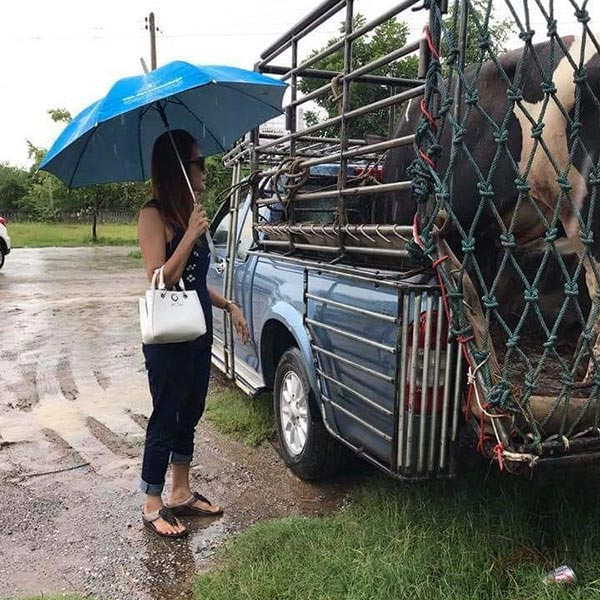 น้องสกาย เพลิงบุญ