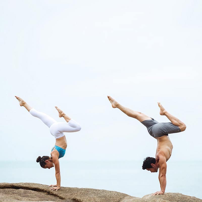 เคท ไบรโอนี่