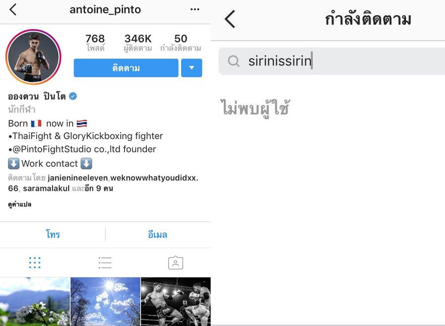 ชิปปี้ อองตวน