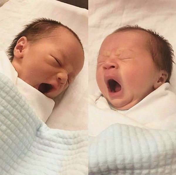 ลูกชมพู่