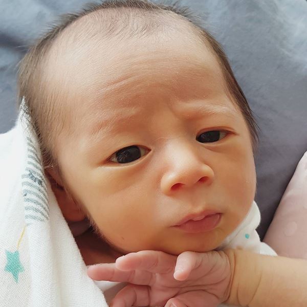 ลูกชมพู่