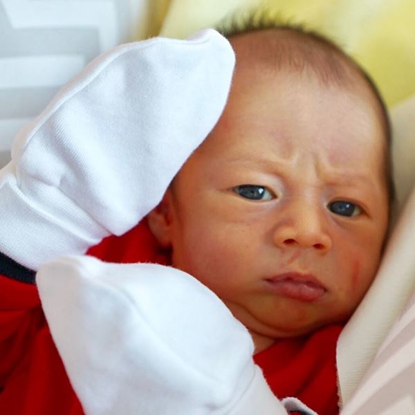 น้องสายฟ้า น้องพายุ