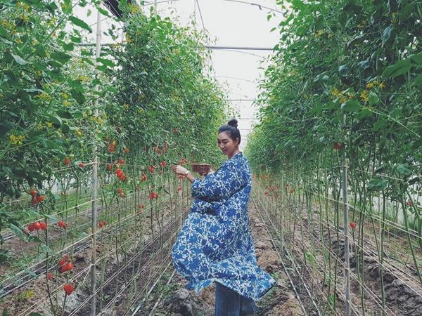 แพนเค้ก