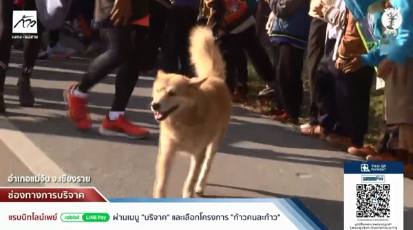  เจ้าสเตฟาน ตูบวิ่งตามขบวน พี่ตูน