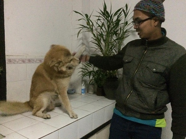  เจ้าสเตฟาน ตูบวิ่งตามขบวน พี่ตูน