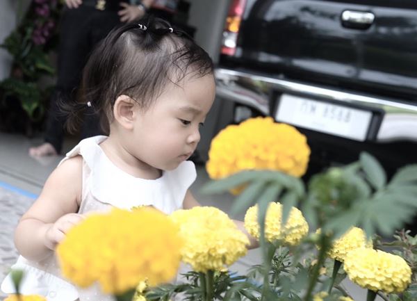 เป่าเปา