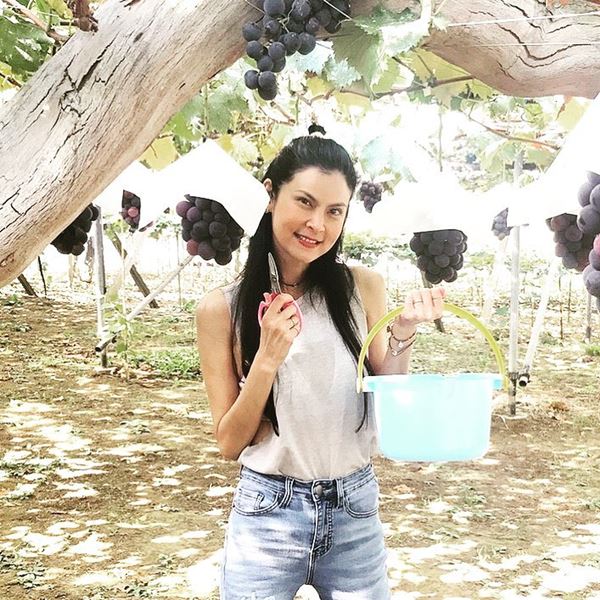 เจ เจตริน ปิ่น