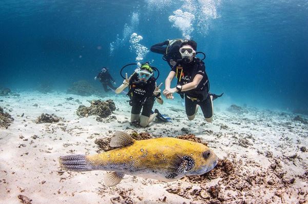 จอยซ์ ทีเค