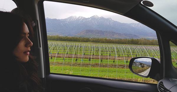 หมาก ปริญ คิมเบอร์ลี่