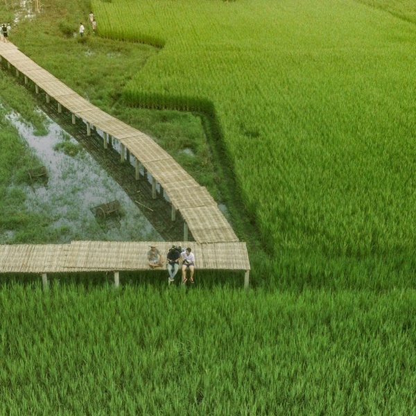  เป๊ก - นิว แต่งงานกลางทุ่งนา