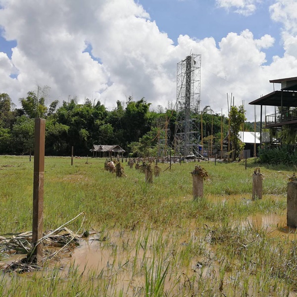  เป๊ก - นิว แต่งงานกลางทุ่งนา