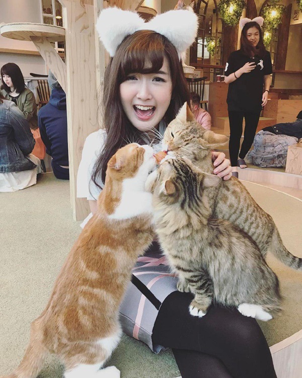 คัตโตะ ลิปตา