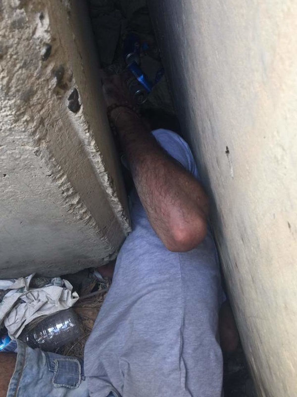 ช่วยเหลือสุนัข