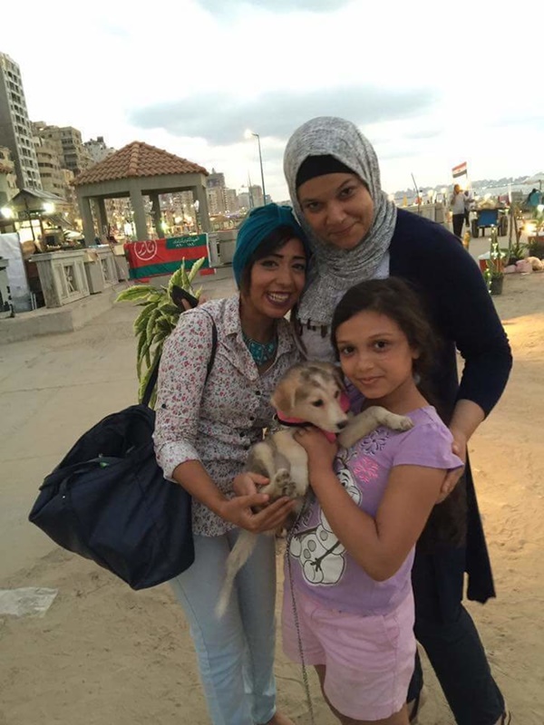 ช่วยเหลือสุนัข